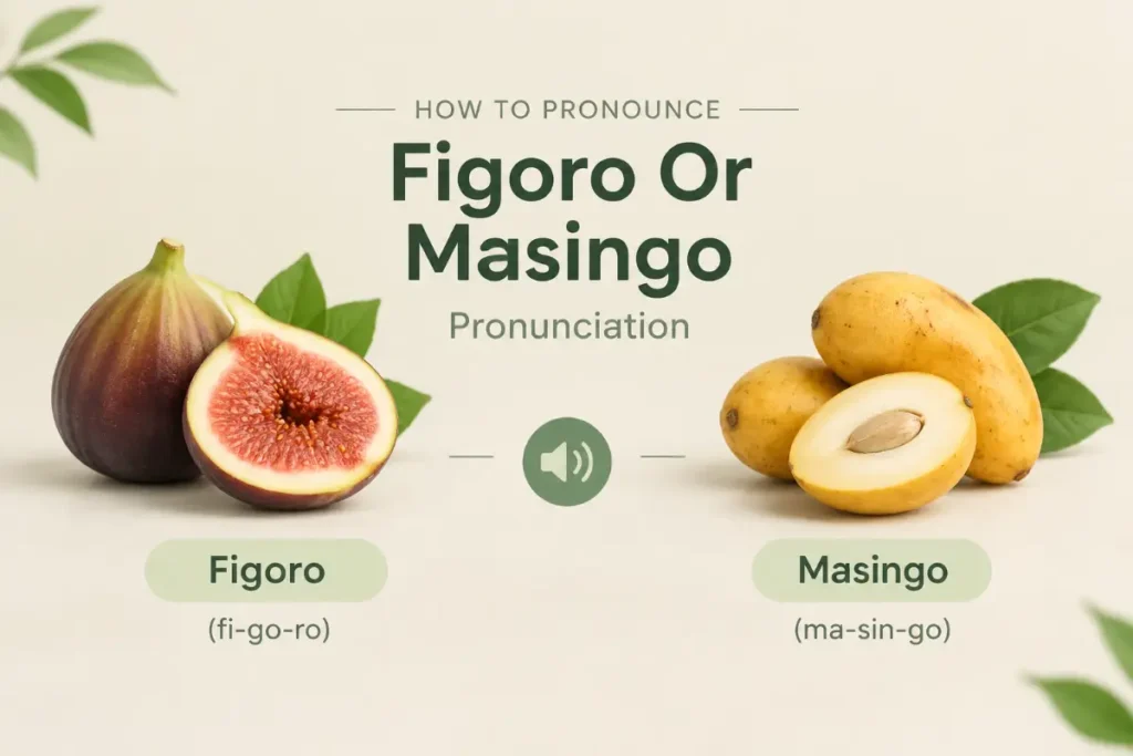 Figoro Or Masingo Pronunciation
